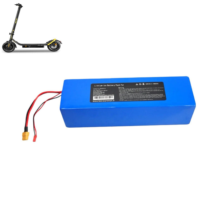 apachie Pro / Shadow Edition Scooter Replacement battery