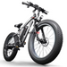 Electric Bikes